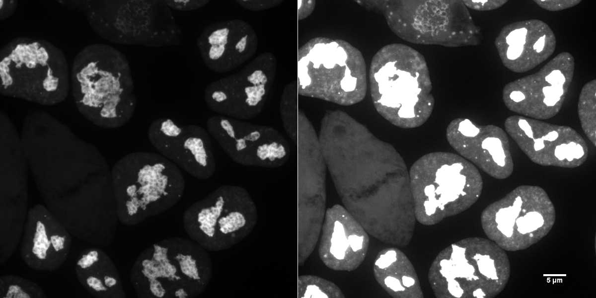 [object Object] thumbnail