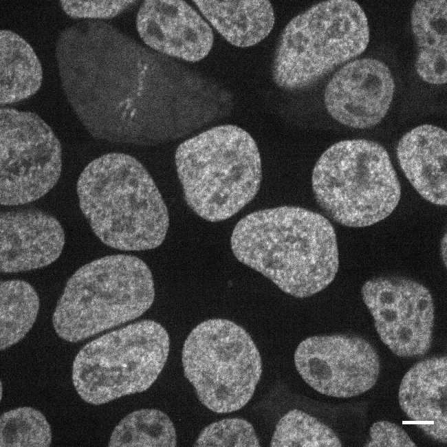 [object Object] thumbnail