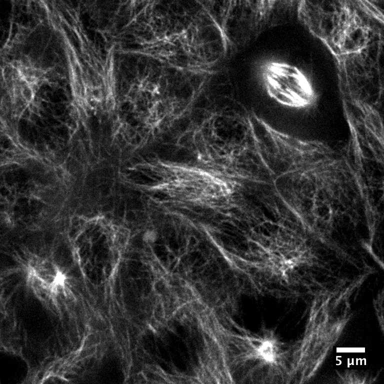 [object Object] thumbnail